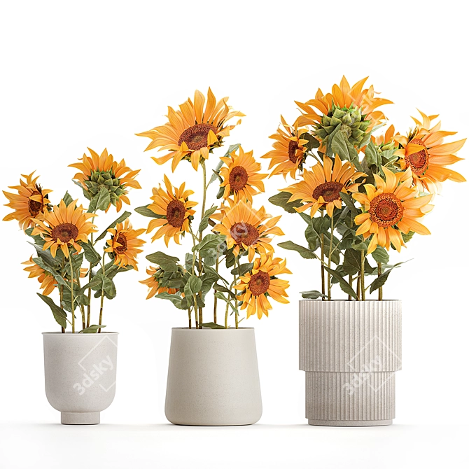 Title: Sunflower Collection in Concrete Planters 3D model image 6