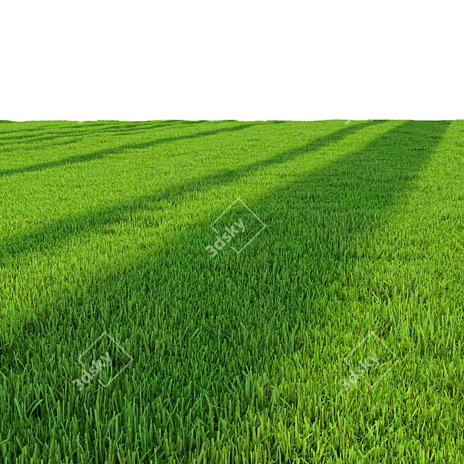 Pro Landscaping Grass Bundle 3D model image 5