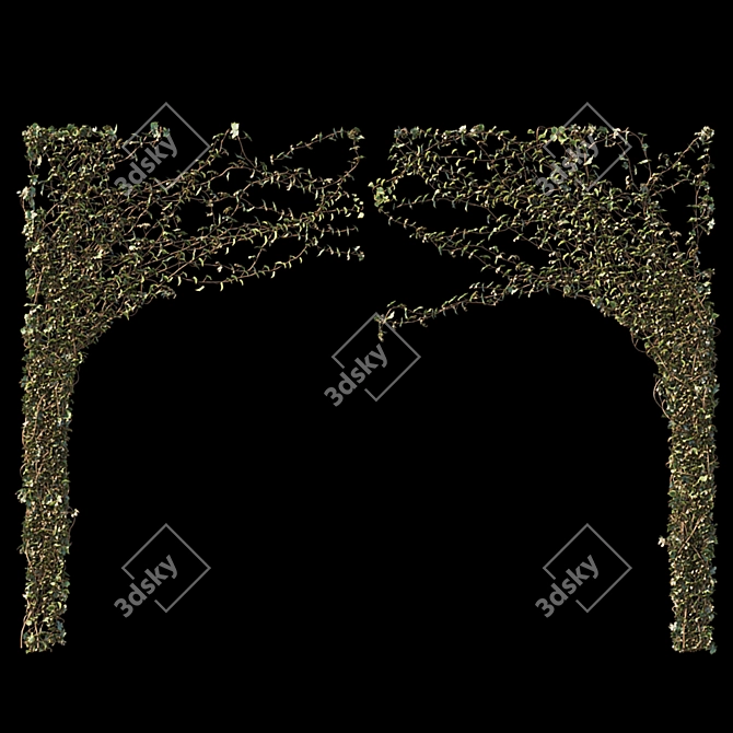 Ivy Arc Wall Mix Match 3D model image 3