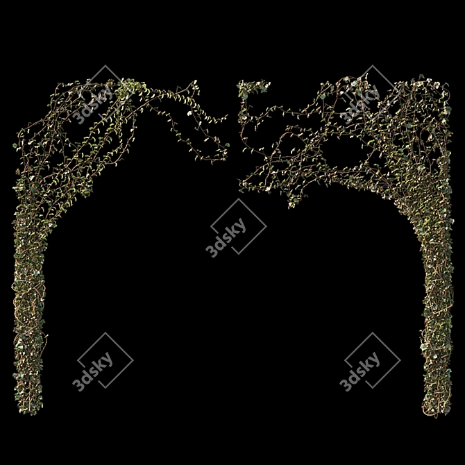 Ivy Arc Wall Mix Match 3D model image 4