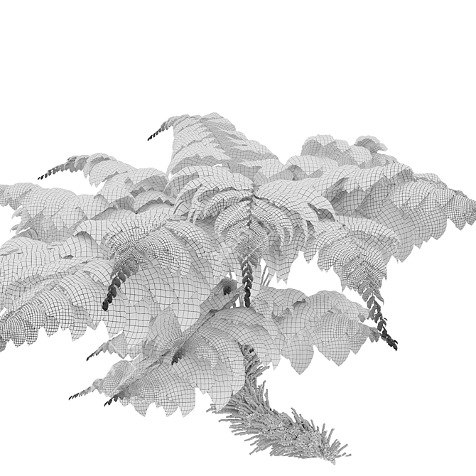 Twin Tree Fern Plants 3.5m 3D model image 6