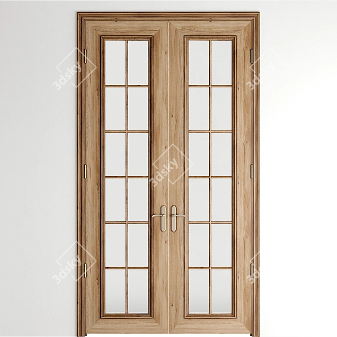 Double Door for Large Entryway 3D model image 2