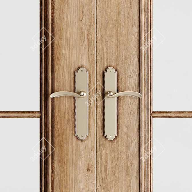 Double Door for Large Entryway 3D model image 4