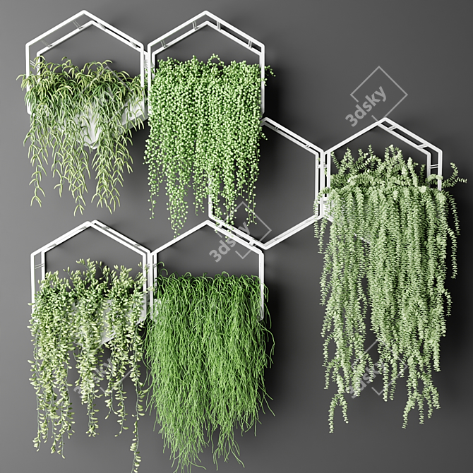 Hexagon Hanging Succulent Plants 3D model image 1