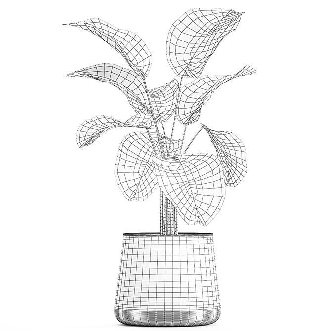 Exotic Tropical Plant Ensemble 3D model image 7