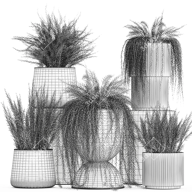 Tropical Asparagus Plant Set 3D model image 6