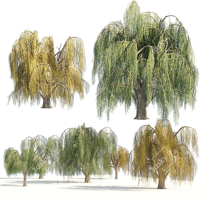 Animated Weeping Willow Tree Set 3D model image 1