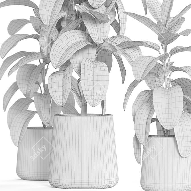 Botanical Bundle 950 Varieties 3D model image 4