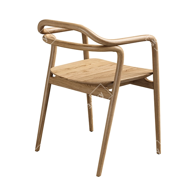 Passoni Tacta Designer Armchair 3D model image 2