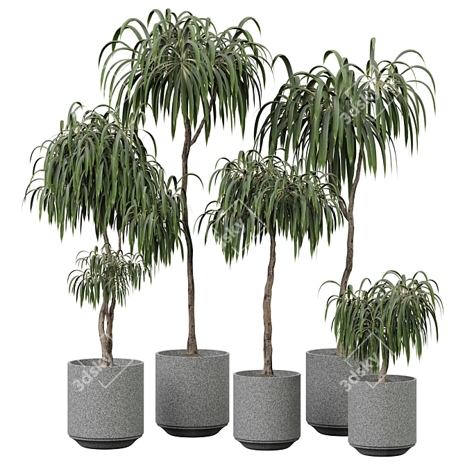  2015 Indoor Plant Model Set 3D model image 1