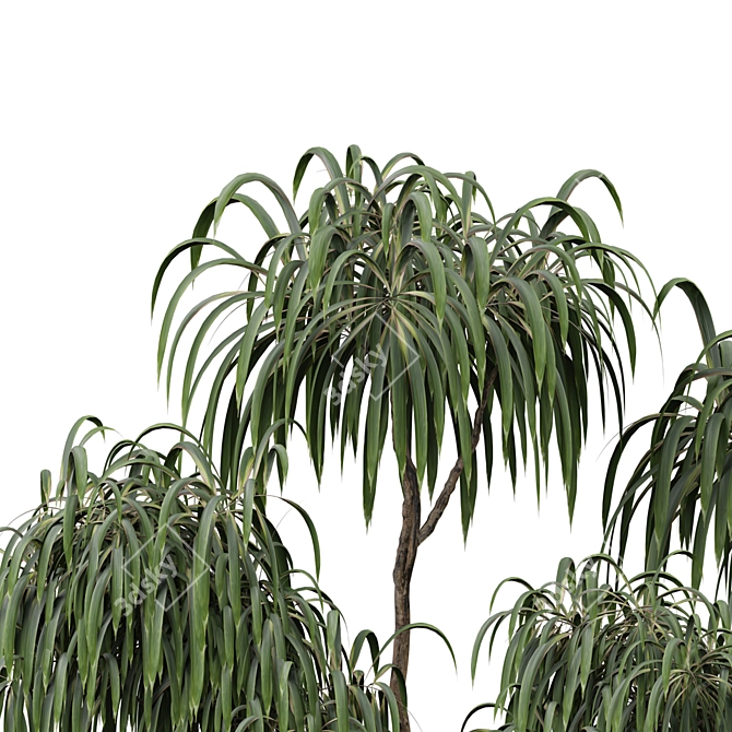  2015 Indoor Plant Model Set 3D model image 3