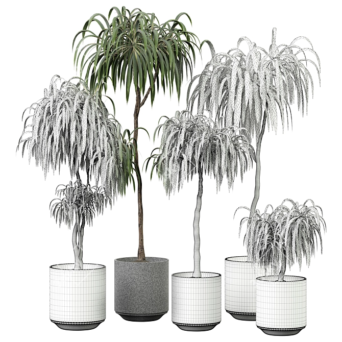  2015 Indoor Plant Model Set 3D model image 4