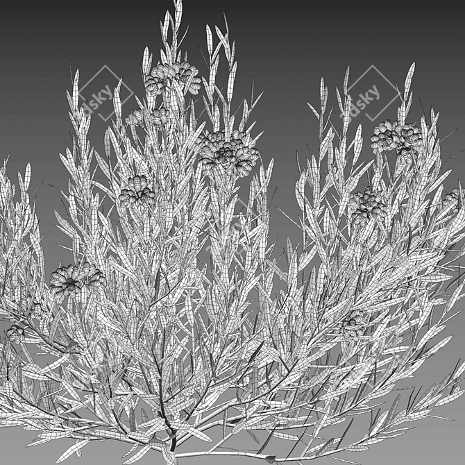 3D Plant Models Collection 3D model image 5