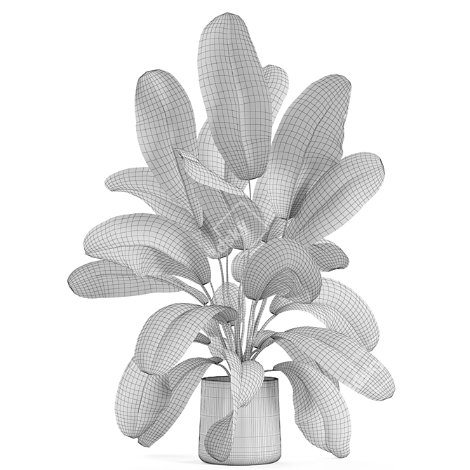 Lush Plants Collection 954 3D model image 5