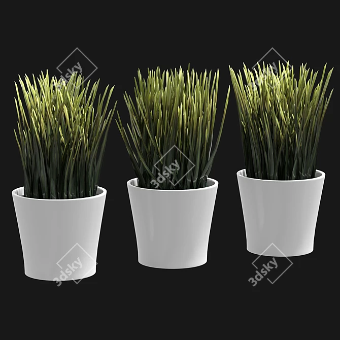 UV-Unwrapped Indoor Plants Model 3D model image 1