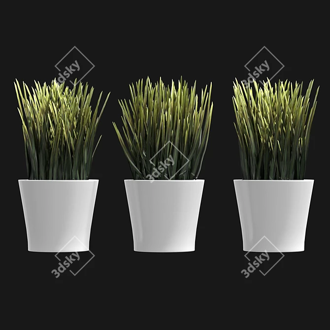 UV-Unwrapped Indoor Plants Model 3D model image 2