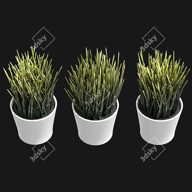 UV-Unwrapped Indoor Plants Model 3D model image 3