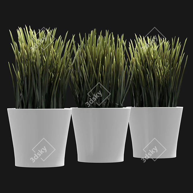 UV-Unwrapped Indoor Plants Model 3D model image 4