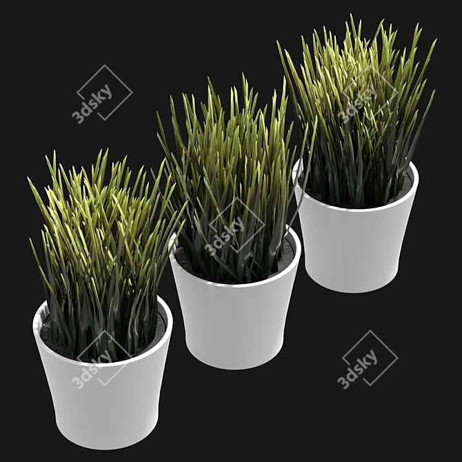 UV-Unwrapped Indoor Plants Model 3D model image 5