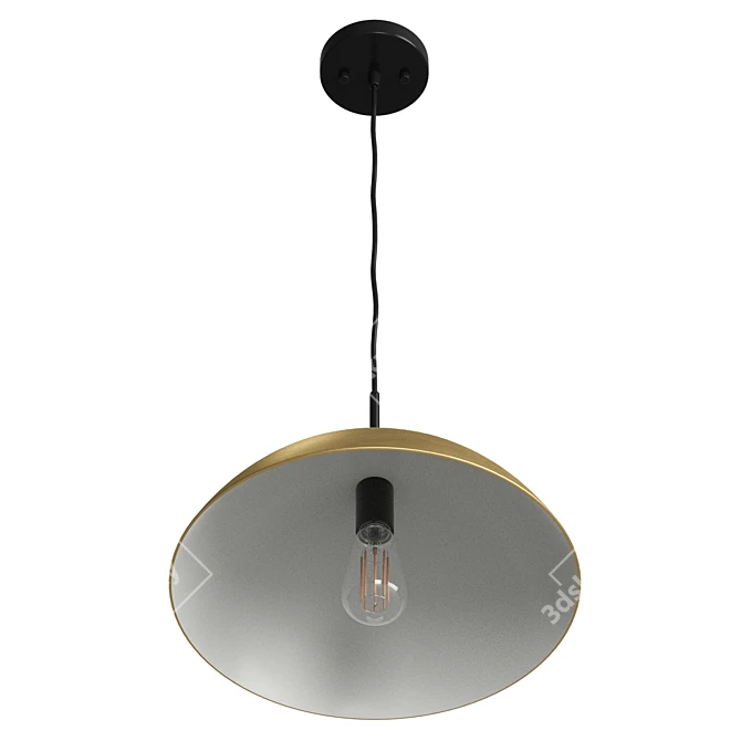  Modern Pendant Light Fixture 3D model image 3