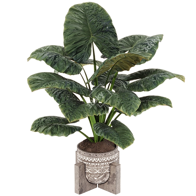 Boho Elephant Ear Plant 3D 3D model image 2