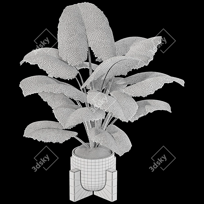 Boho Elephant Ear Plant 3D 3D model image 7