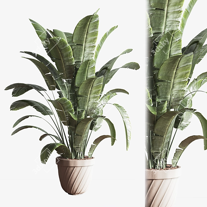 Minimalistic Indoor Plant Set 3D model image 4