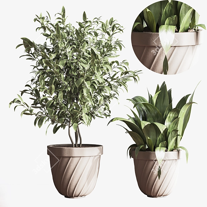 Minimalistic Indoor Plant Set 3D model image 5