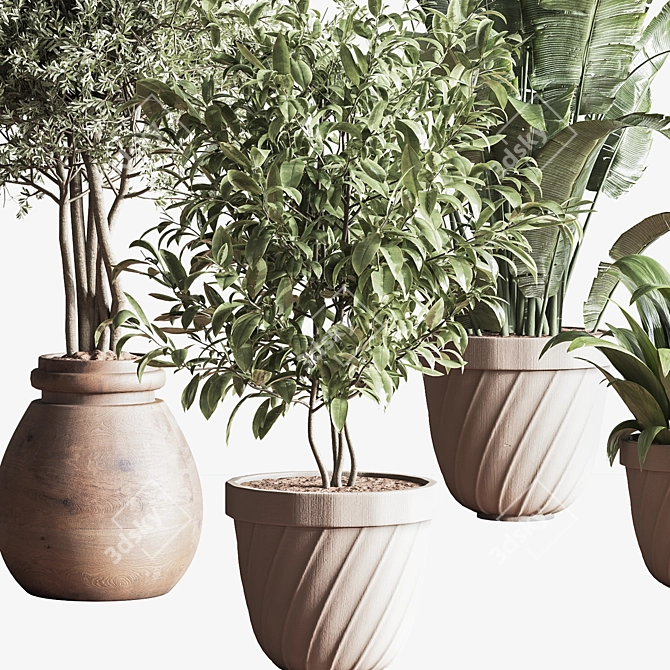 Minimalistic Indoor Plant Set 3D model image 6