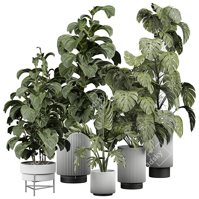 Botanical Bliss Indoor Plant 3D model image 1