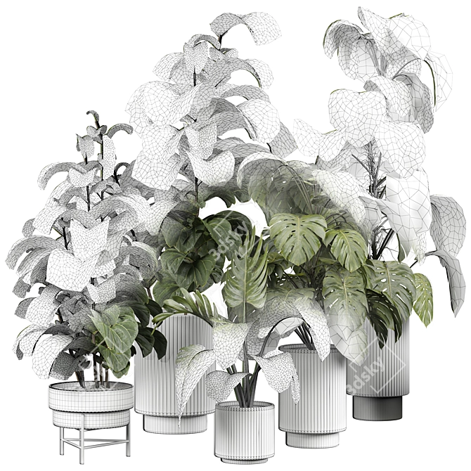 Botanical Bliss Indoor Plant 3D model image 4