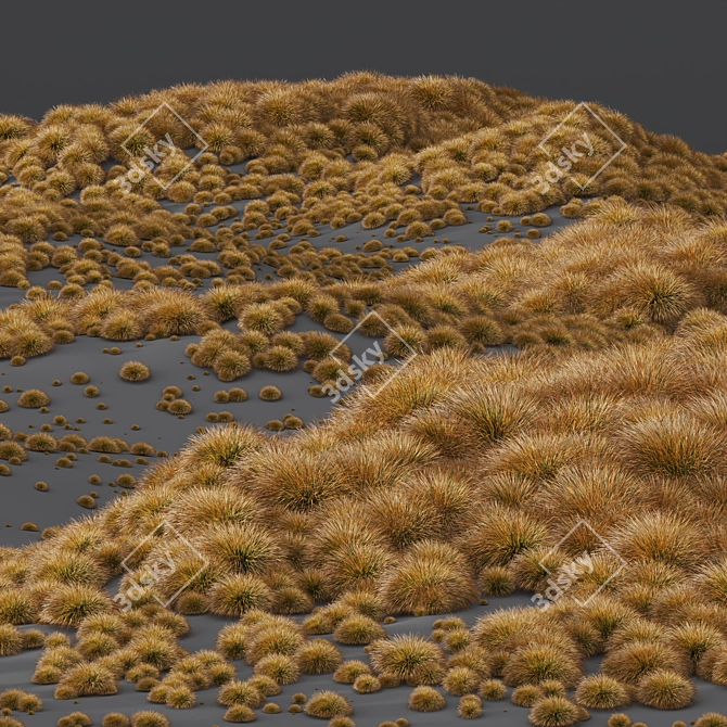 Carex Testacea Orange Sedge Collection 3D model image 4