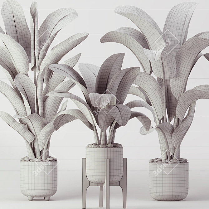 Mexican Design Banana Palm Set 3D model image 7