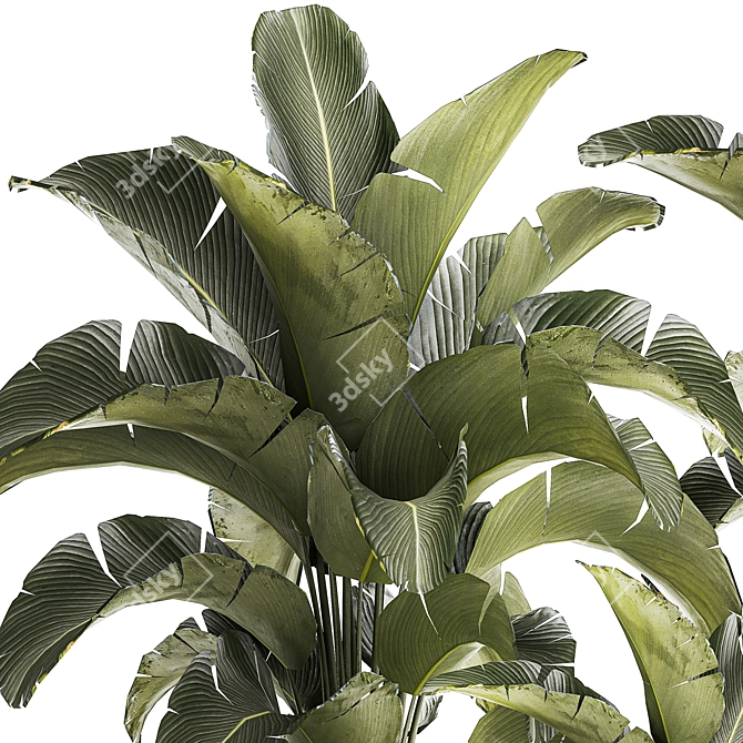 Tropical Plant Collection in Concrete Vase 3D model image 4