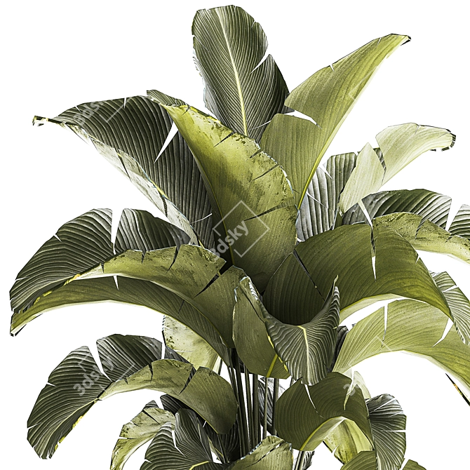 Tropical Plant Collection in Concrete Pot 3D model image 4