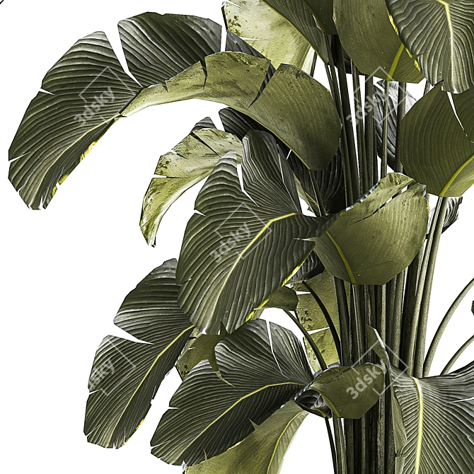 Tropical Plant Collection in Concrete Pot 3D model image 5