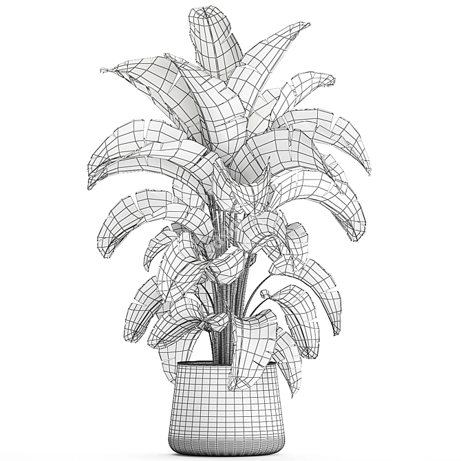 Tropical Plant Collection in Concrete Pot 3D model image 7