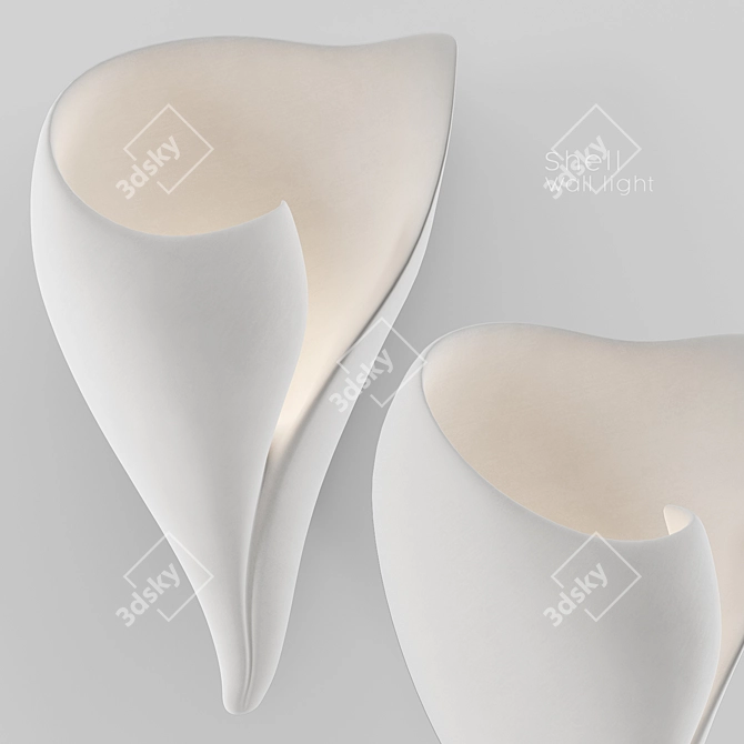 Coastal Charm Shell Wall Sconce 3D model image 1