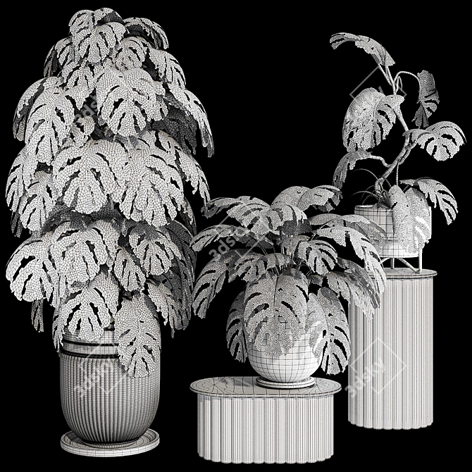 Tropical Monstera Plant Set 180 3D model image 7