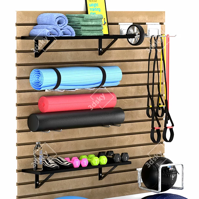 Premium Gym Storage and Organization 3D model image 3