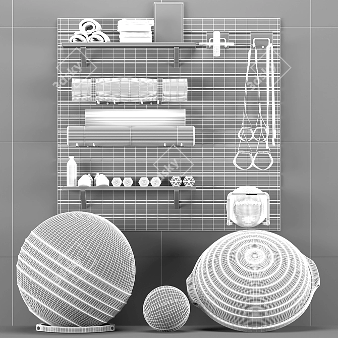 Premium Gym Storage and Organization 3D model image 7