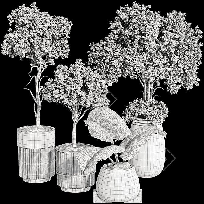  Indoor Tropical Bonsai Tree 3D Model 3D model image 7