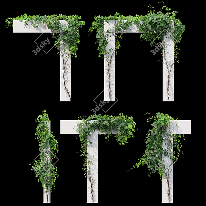 Versatile Set of Five Vines 3D model image 1