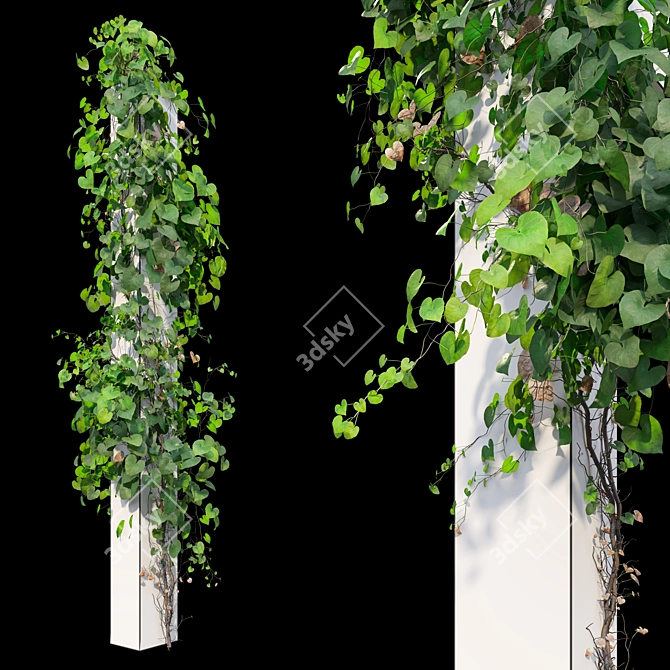 Versatile Set of Five Vines 3D model image 2