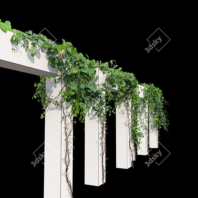 Versatile Set of Five Vines 3D model image 4