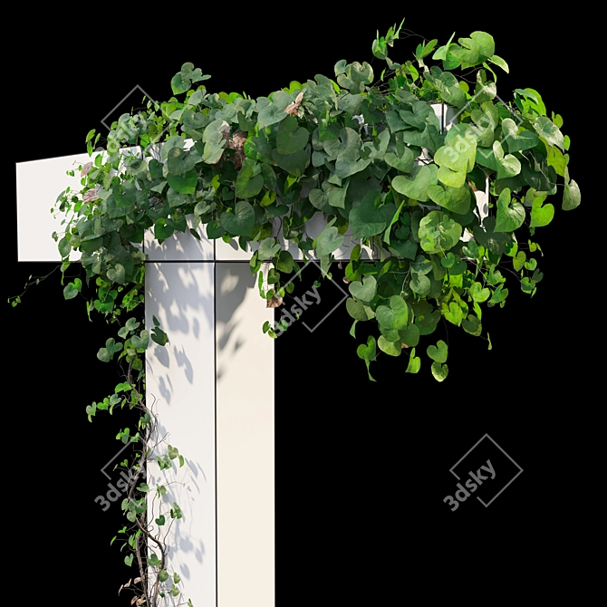 Versatile Set of Five Vines 3D model image 5