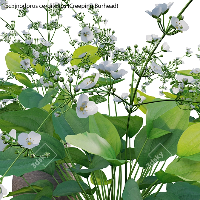 Complete 3D Plant Models Pack 3D model image 2