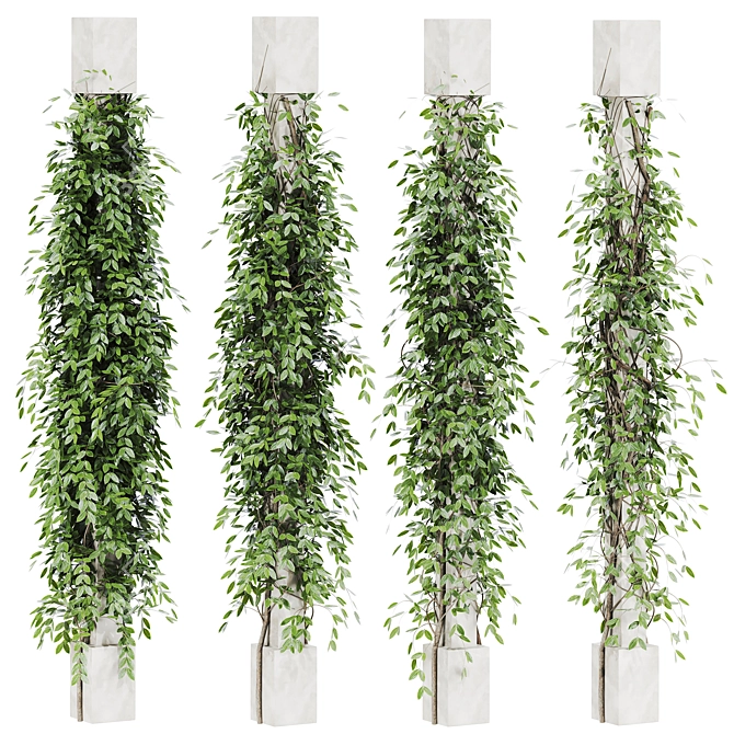 Lush Ivy Plants Pack 3D model image 1