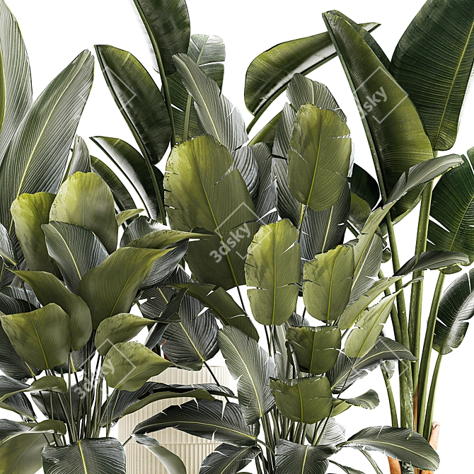 Tropical Plant Set in Concrete Vase 3D model image 3