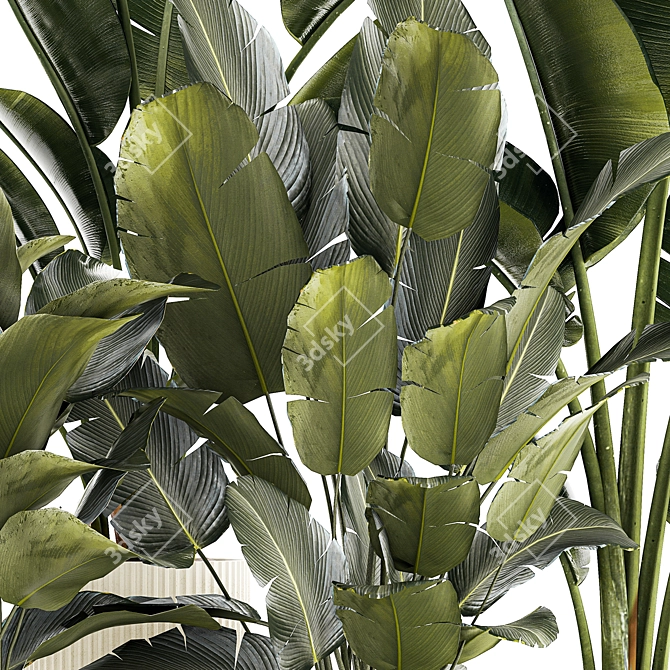 Tropical Plant Set in Concrete Vase 3D model image 5